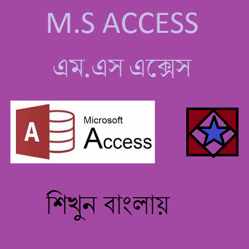 MS Access